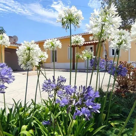 Kyrios Lounge With Use Of Private Pool Carrascal (Leiria)