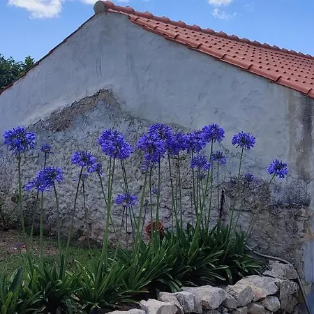 Kyrios Lounge With Use Of Private Pool Carrascal (Leiria)