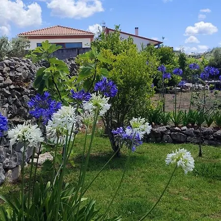 Frühstückspension Kyrios Lounge With Use Of Private Pool 3*