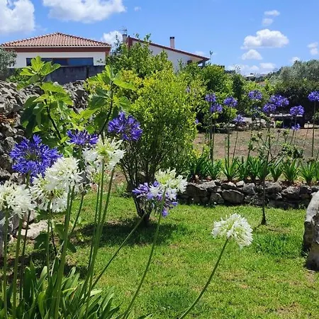 Bed & Breakfast Kyrios Lounge With Use Of Private Pool *