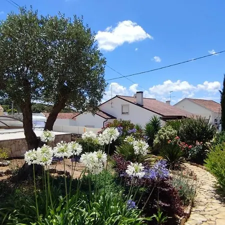 Kyrios Lounge With Use Of Private Pool 3*